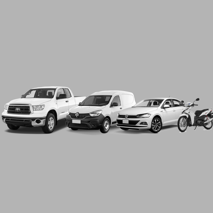 PIVOTE MOTO AUTO Y CAMIONETA