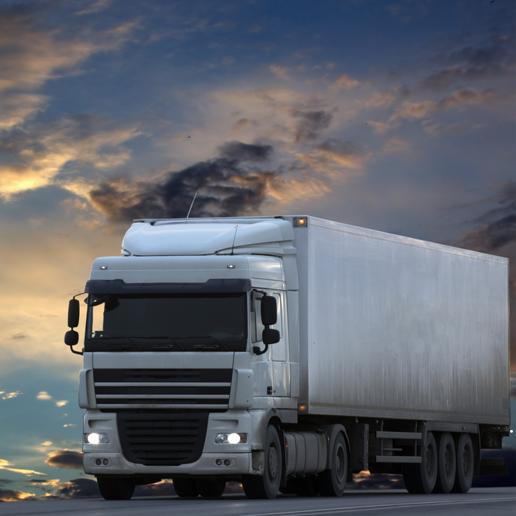 PIVOTE CAMION